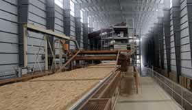 Roy O. Martin Company, Alexandria, Louisiana