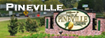 Pineville Louisiana Tourism, Things to Do, Maps, hotels and more